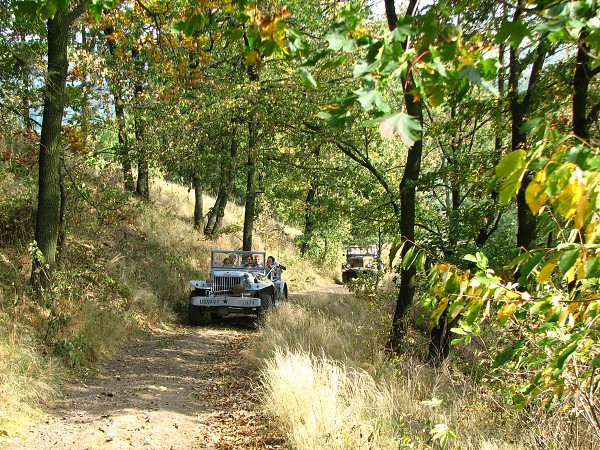 ESK STEDOHO - VARHO 639 M